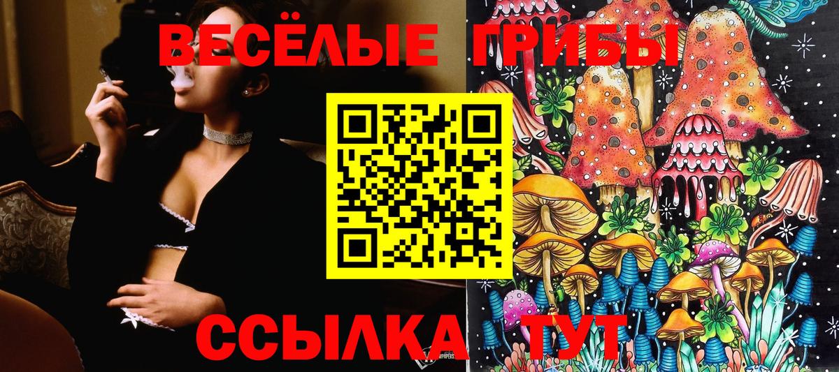 Галлюциногенные грибы мухоморы Павлово