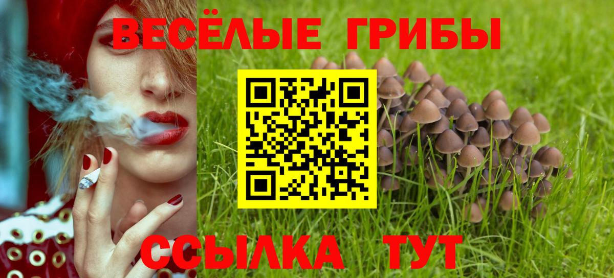 ГАШ Павлово