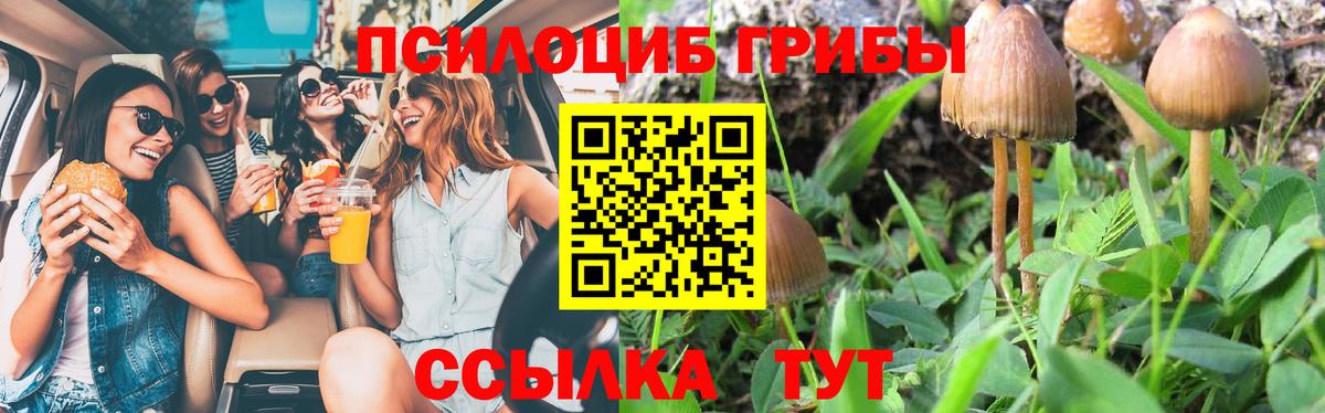 Павлово  Псилоцибиновые грибы мицелий  Вход с VPN  Псилоцибиновые грибы мухоморы 